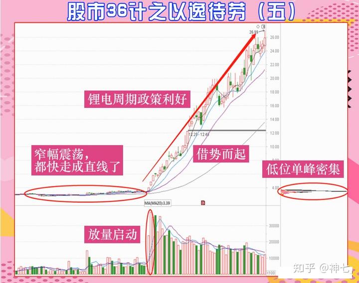 跑出经济发展加速度——访港南区委副书记、常务副区长张慧红
