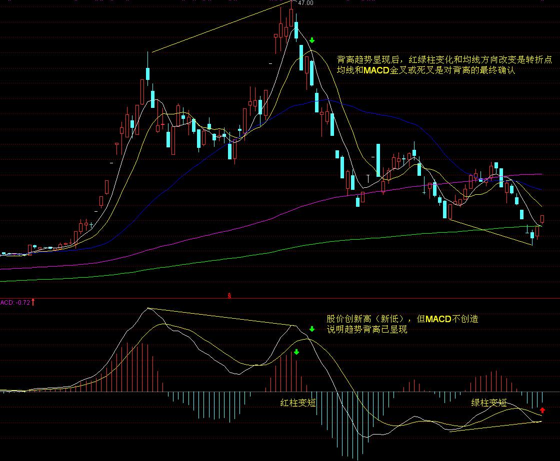 特朗普100%关税的实际影响或低于预期:美银分析科技巨头的应对策略