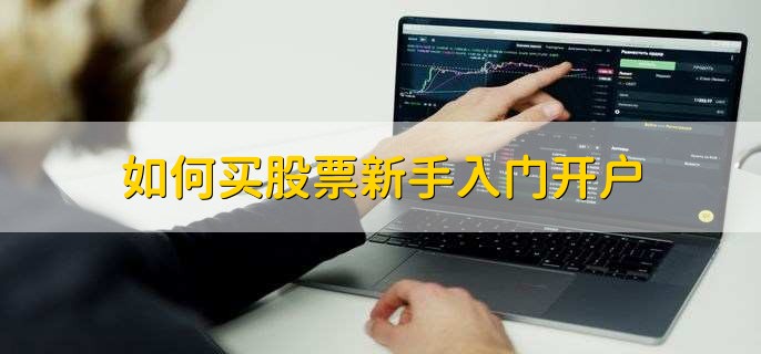 野村Q2投资布局聚焦AI及高波动性股票，重仓特斯拉期权
