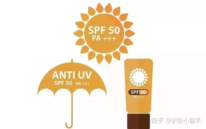 市六届人大常委会第三十一次会议召开